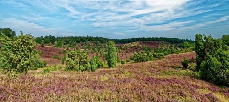 Klassenfahrten Lueneburger Heide