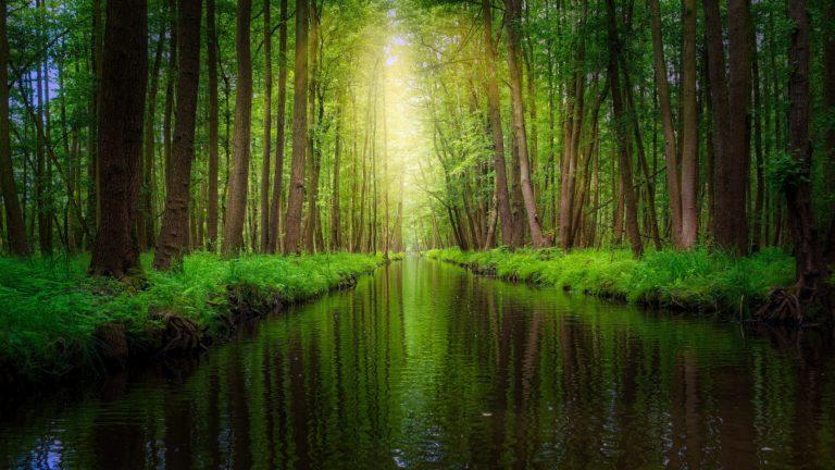 Klassenfahrten Spreewald