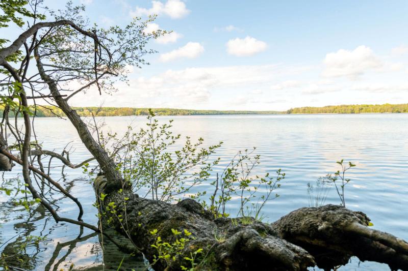 Seezeit Resort Werbellinsee