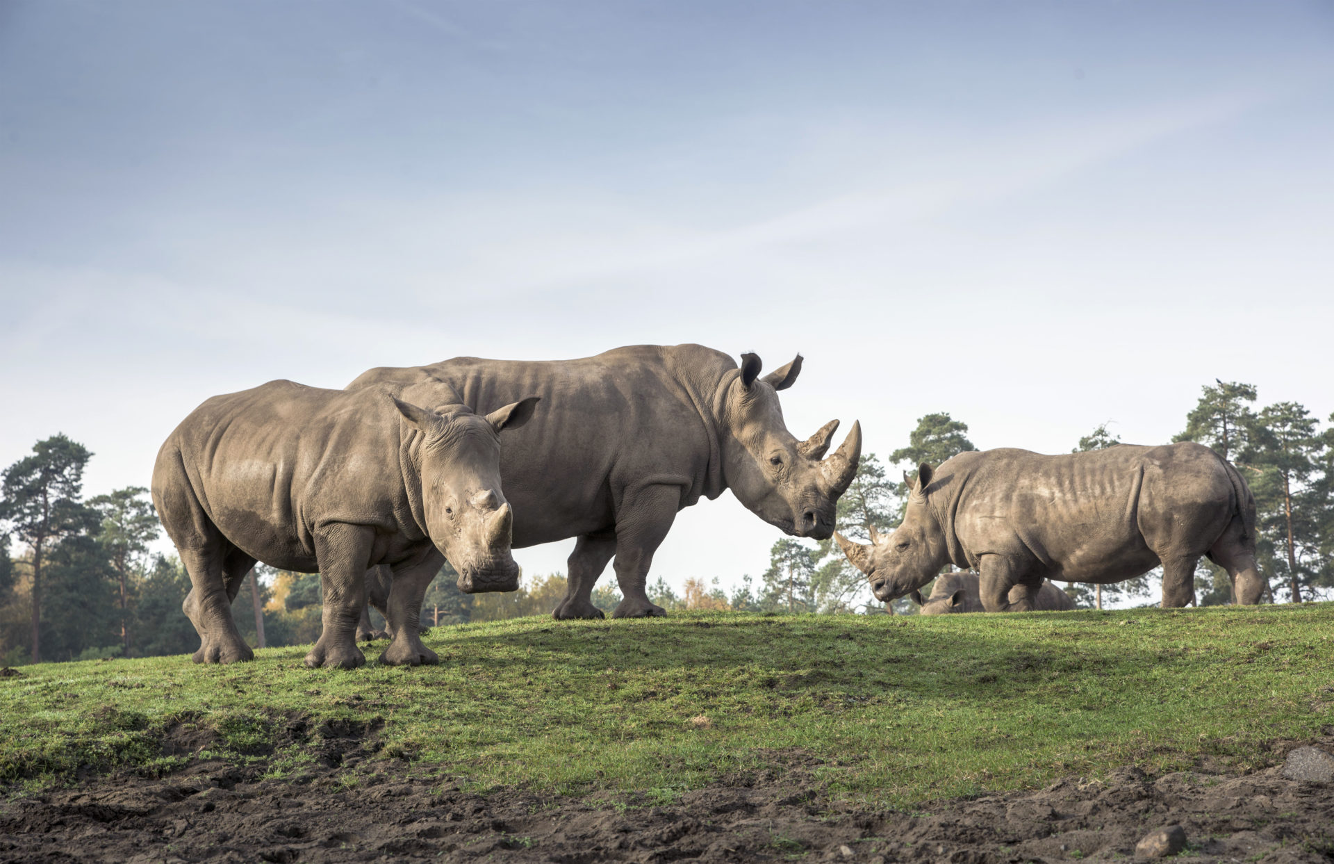 Serengeti-Park Hodenhagen