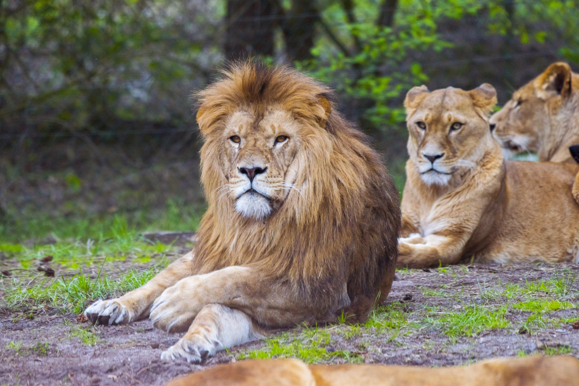 Serengeti-Park Hodenhagen