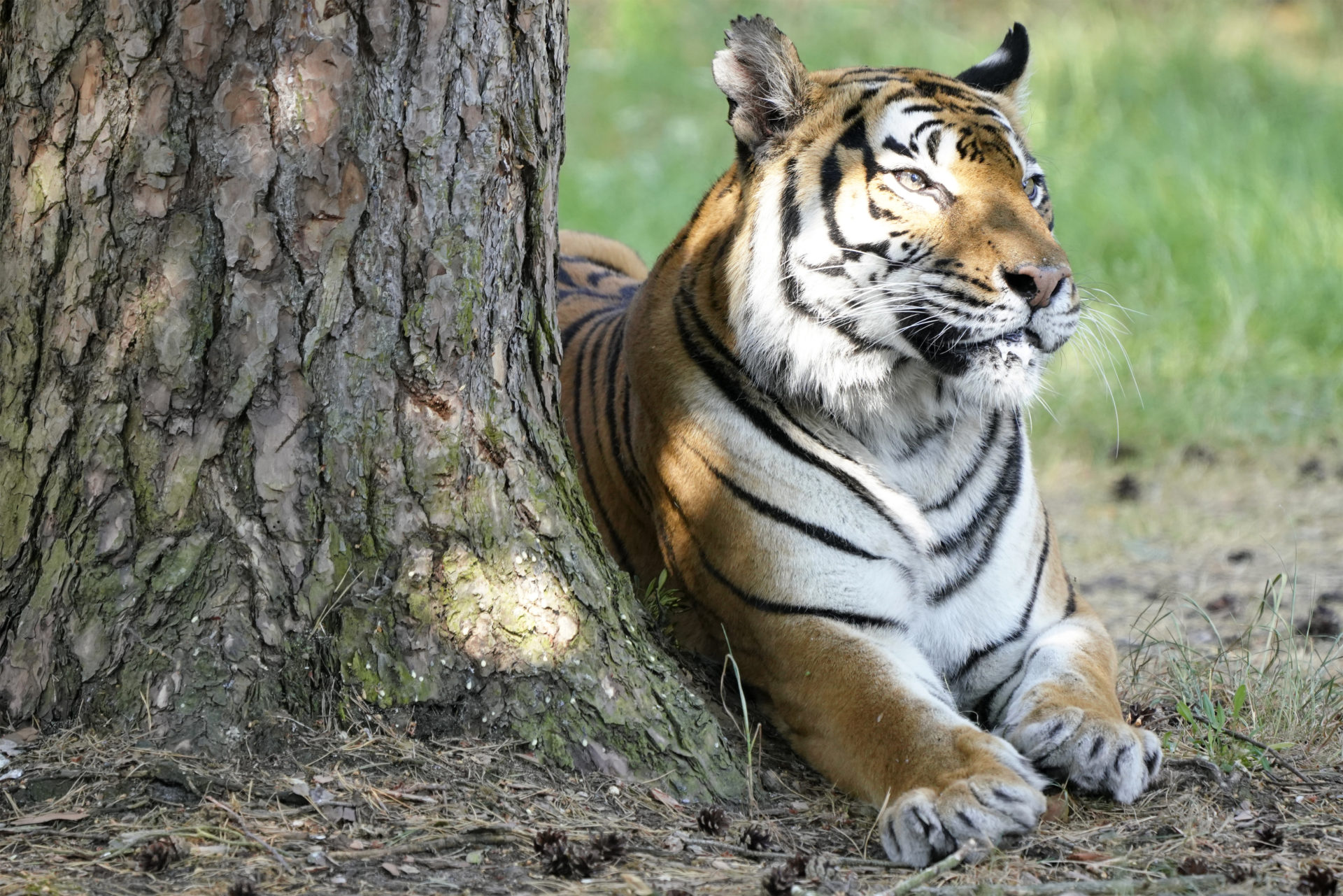 Serengeti-Park Hodenhagen