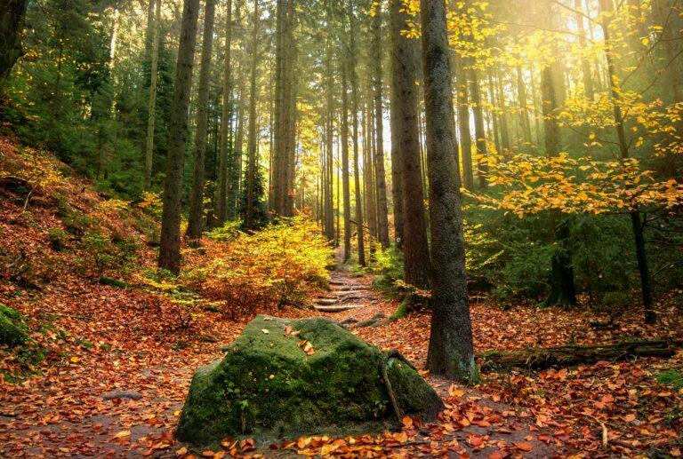 Erlebnispädagogischer Abenteuertag